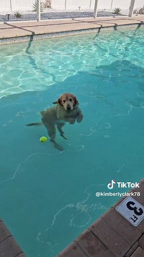 Kimberly Clark (@kimberlyclark78)’s videos with original sound - Kimberly Clark