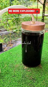 The safest way to ferment Liquid Organic Fertilizer (FAA/LAB/MOL) 🧪. This DIY airlock setup prevents pressure buildup and keeps your ferment clean from pests and oxygen. No more exploding bottles! 🌿✨ ​#organicgardening #permaculture #diyfertilizer #gardenhacks #sustainableliving #microbiology | JD Garden Hub