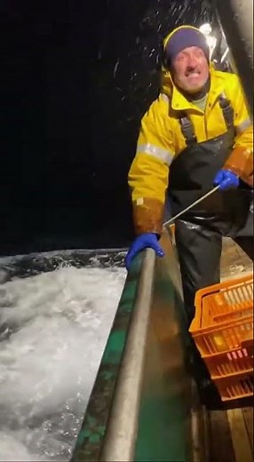 GRAUSIG! Riesiger Weißer Hai rammt Fischerboot bei Nacht 😱🦈