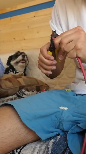 Solar Power Set Up For Off Grid Camper Van #reelsviral #reelsvideo #reelsfb | Eamon and Bec