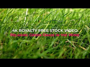 Relaxing Green Grass in the Wind 4K: Peaceful Nature Background & Grass Footage
