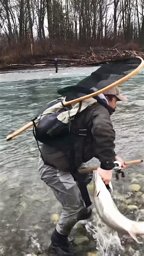 Steelhead grab and go!