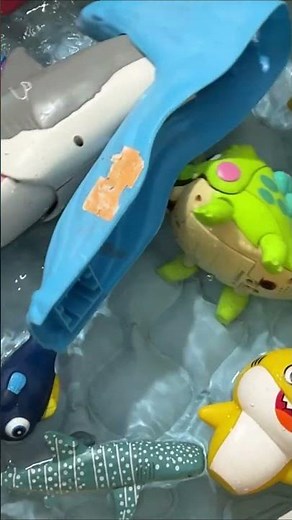 Sea Animals for Kids: Learn Ocean Animal Names, Fun Facts & Educational Sea Animal Toys