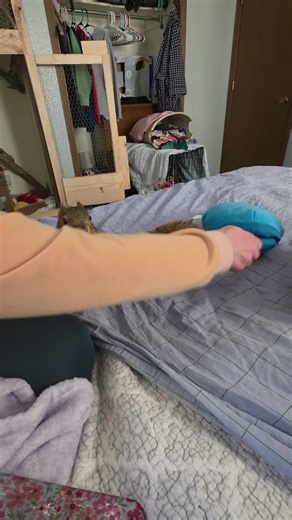 Squirrel Spin: The Adorable TikTok Trend