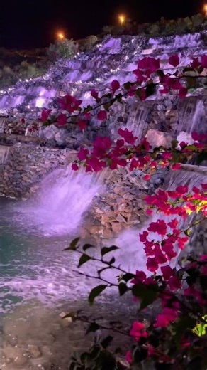 Hanging garden |kalba| |sharjah| UAE #shortsyoutube #nature #viral #shorts #dubai