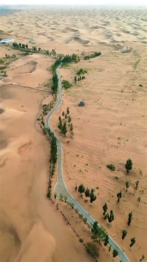 Is it possible to turn a desert into a forest? 🌳🏜️