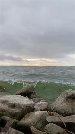 Dümmer-See on TikTok