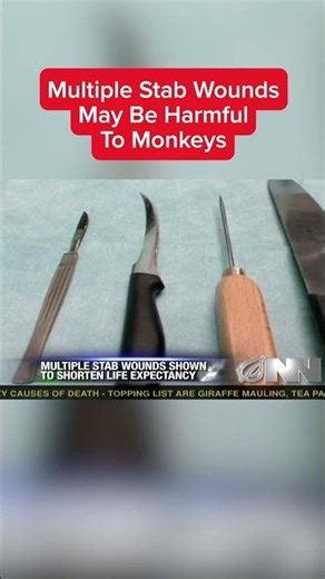 Multiple Stab Wounds May Be Harmful To Monkeys