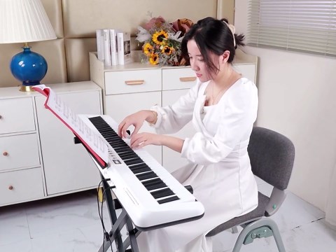 88 Key Digital Piano, Electronic Keyboard Piano with Music Stand, Power Supply, Sustain Pedal, Stand, Bluetooth, MIDI, for Beginner Professional at Home, Stage