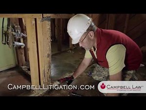The Basics of a Termite Inspection