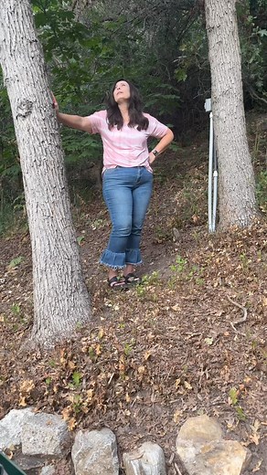 1.2K views | Want a tree swing?But you don’t have any branches large enough? No problem! Simply secure a post between two trees.Hang your swing and now you can relax and enjoy!TAP the link below for complete tutorial https://www.2thesunnyside.com/tree-swing-without-branch/...#2thesunnyside #2thesunnysidediy #treeswing #backyard #backyardswing #diy #diytreeswing #backyardoasis #backyardgoals #backyardideas #backyardfun | 2thesunnyside | Facebook