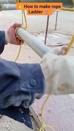 "Quick and easy rope ladder tutorial—perfect for work, rescue, or outdoor setup. Simple steps, strong knots, and always safety first. Build smart, build safe. 🪜💪 #construction #constructionlife #RiggingBasics #SafetyFirst #TutorialReels" | Leonardo Tinao
