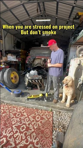 3 or 5 Ton Hydralic jack is perfect for jacking your projects up, down, & around or see air spring!