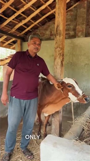 The heart of Mrittika farms