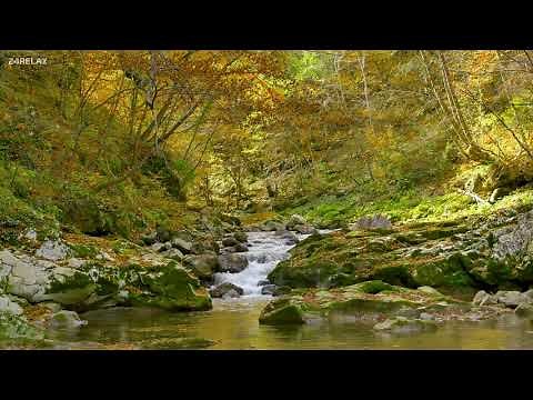Native American Flutes and Nature Sounds - for Sleep, Relaxation, Study or Meditation