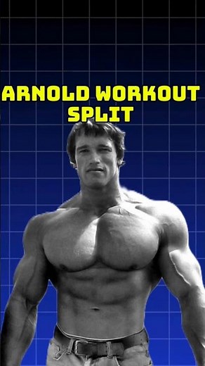 ARNOLD SCHWARZENEGGER'S WORKOUT SPLIT #bernardorebeil #arnold #arnoldschwarzenegger #workout #gym