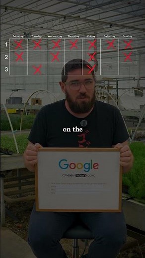 How to cycle an aquarium?