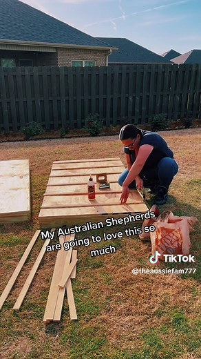 Building a DIY Dog Agility Ramp with Home Depot Supplies