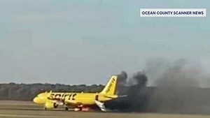 Bird flies into plane engine, causes fire at New Jersey airport