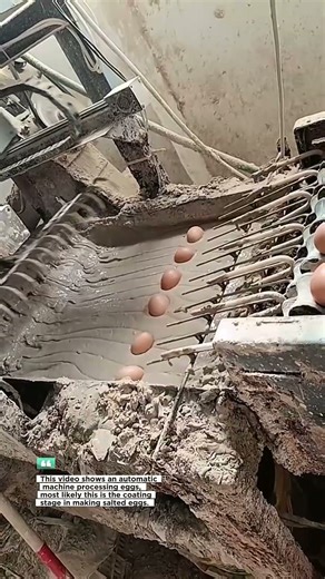 automatic machine for processing salted eggs
