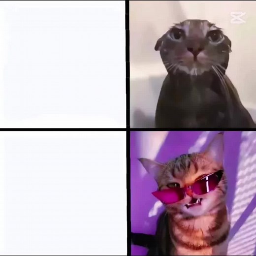 #furry #lobo#🔥 #gay