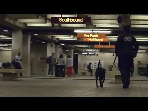 Vapor Wake K9 Explosives Detection