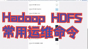 Hadoop HDFS-常用运维命令