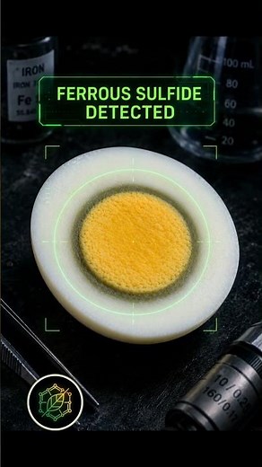 Why Do Hard-Boiled Eggs Turn Green? (And How to Fix It)