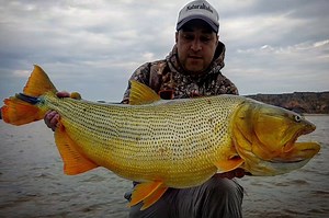 92K views · 1.7K reactions | FISH FINDER, BUSCANDO EL ORO. En este primer capítulo de Fish Finder, El Buscador de Peces, Marcos Borgatti nos lleva a pescar a Goya, Corrientes. El desafío fue capturar dorados en baitcast entre los palos y barrancas del Paraná, un río que siempre da sorpresas. #Fishfinder #buscandoeloro #pesca #dorados | Naturaltube | Facebook