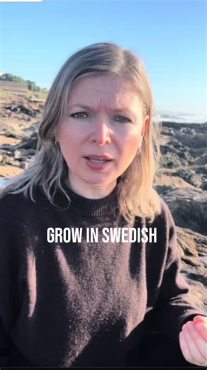 My Swedish courses are now open for you! 🇸🇪✨ Whether your goal is to get a new job, continue your studies, or simply integrate into Swedish society, there’s a course for you. Choose the course that fits your level — or go all in with the full bundle 💙 🎁 Special bonuses with this admission: • Live Q&A with me in February • Conversational practice sessions in March ! #swedishlanguage #studyswedish #swedishteacher #swedish #swedishcourses