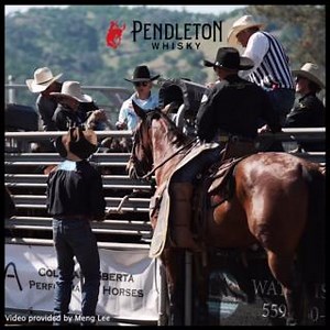 7K views · 391 reactions | The Pendleton Whisky Let 'er Buck Ride of the Week goes to Dawson Hay for his impressive 88.5-point ride on Four Star Rodeo’s Wall Street at the Battle of the Best in Coarsegold, California. | PRCA ProRodeo | Facebook
