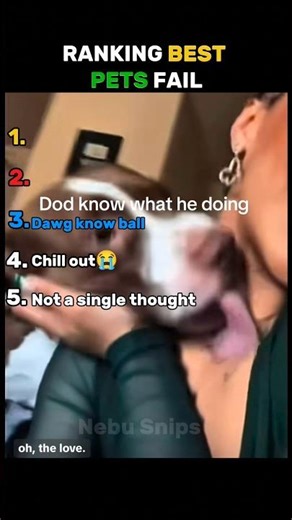 Ranking BEST Pet Fails😂
