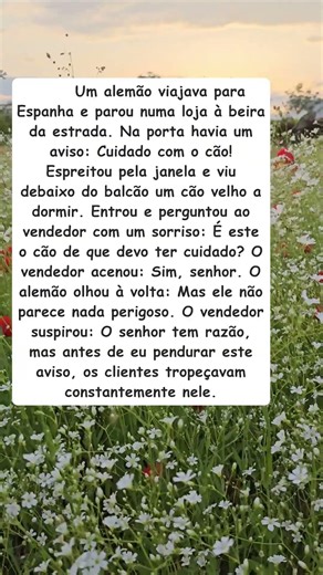 Cuidado com o cão - o guardião adormecido!