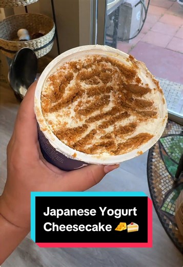 Delicious Japanese Yogurt Cheesecake Recipe