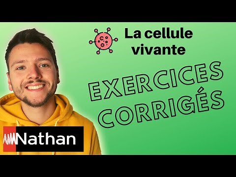 [exercice] La cellule vivante : une structure complexe - Enseignement Scientifique - Première