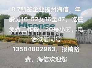 海信属于国企，上班站立式工作主要岗位有贴胶带，插电线，组装开关，有成型车间味道不大，百分之九十长白班，个别两条线白夜班，7.30上班8.30下班，厂区离宿舍2公里有车接送，宿舍6—8人间，人性化管理，干活不用动脑子，工人干满月报销路费，有想做劳务的，或者已经准备做劳务的，可以私信，免费培训，不要你有钱，只要敢挑战，要来的私聊或微信或电话13584802963