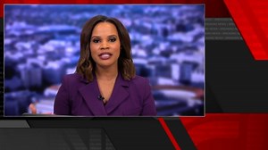 CNN legal analyst breaks down charges against ex-officer