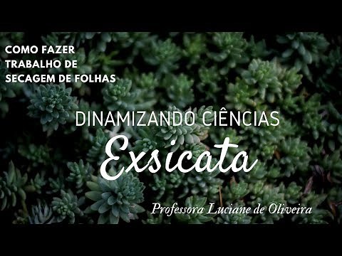 COMO FAZER UMA EXSICATA - HOW TO MAKE AN EXSICATA