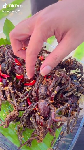 Tong Heng នៅលើ TikTok