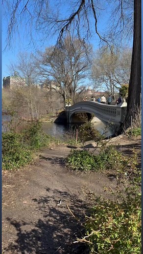 Walk With Me: Join me as we take a stroll along Central Park in New York City—admiring the arrival of springtime’s renewal at this iconic treasure. | John Kucko Digital