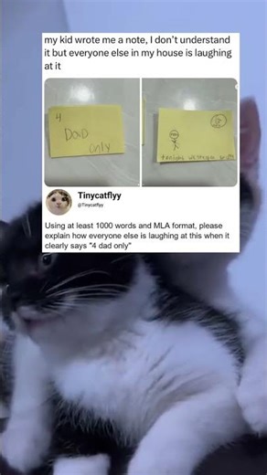 Using at least 1000 words and MLA format, please explain how everyone