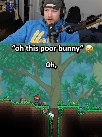 bro how do you get rid of these stumps man..I went 2 for 2 on these poor little fellas #terrariameme #solonoah #terraria #terrariagameplay
