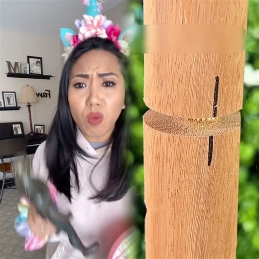 Guess no winner this time. #brotherandsistedpranks #siblingpranks #lifewithkids