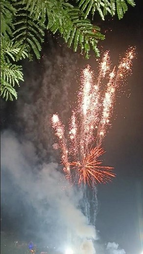 Fireworks Exploding in the Sky ✨ Stunning Night View #Shorts #fire