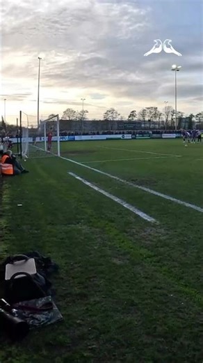 Into double digits - Billy Walker’s 10th goal for Wimborne Town! #UpTheMagpies #Shorts