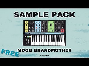 Moog Grandmother Sample Pack (FREE) | Analog Synth Sounds
