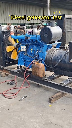 Comprehensive Diesel Generator Test and Installation Insights