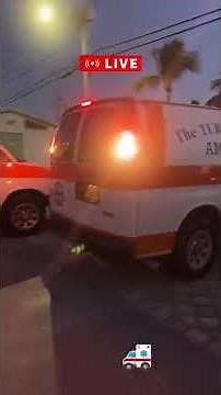 LIVE loggerhead rescued in the lower Florida Keys this evening arrives at The Turtle H