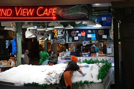 Sony a7 V pre-production sample gallery: updated with converted Raws