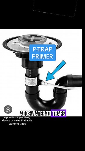 P-TRAP Primer: Essential Plumbing Insights
